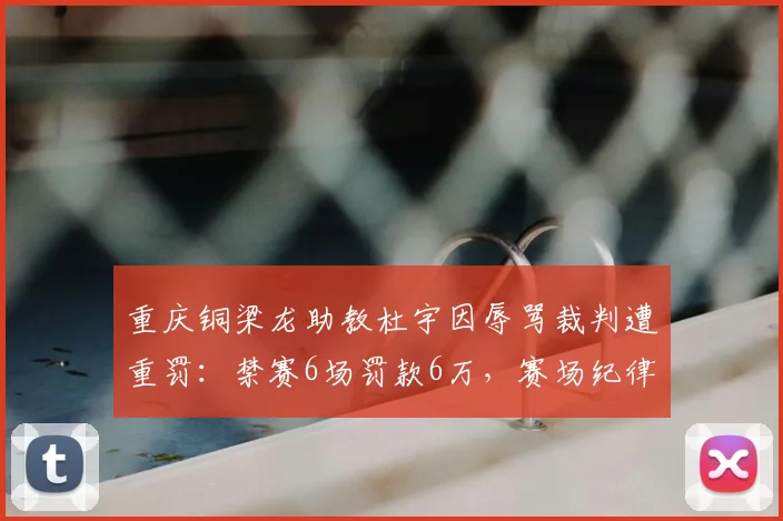 重庆铜梁龙助教杜宇因辱骂裁判遭重罚：禁赛6场罚款6万，赛场纪律再引关注